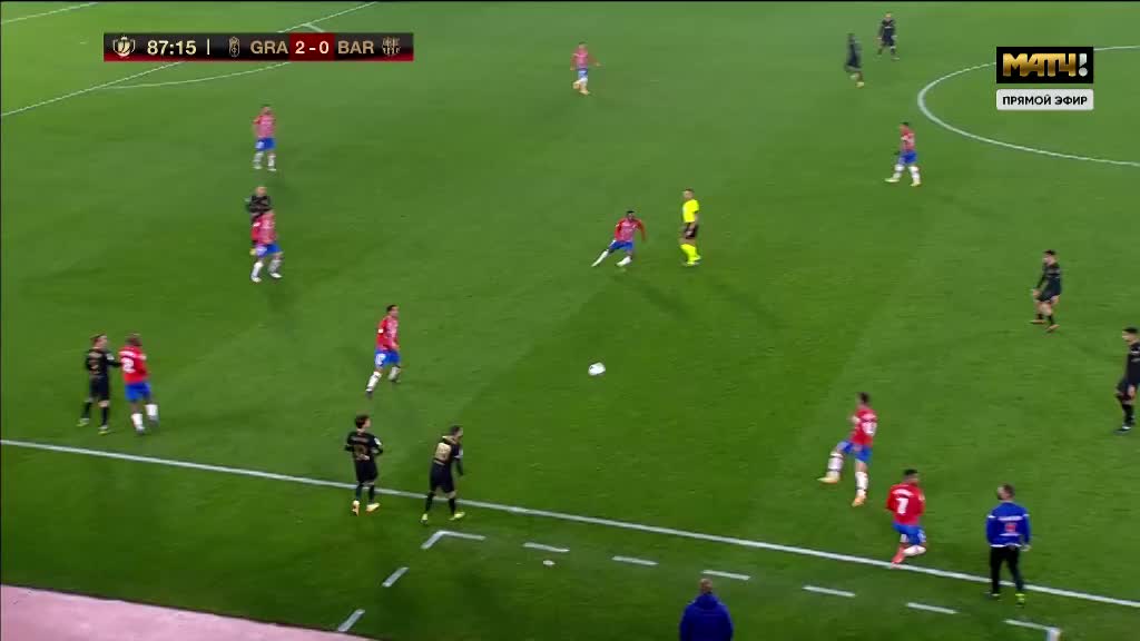 大谷翔平在 2024 年 50-50 达成当晚，他在更衣室里给 Decoy 喂了一块特制金牌饼干