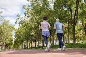 《匠木》开发商东极六感获阿里增资，新作正在寻求发行