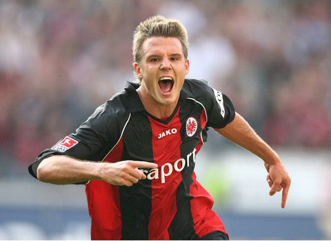 可能会展现 可能会展现